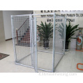 Cage per cani galvanizzati di canile